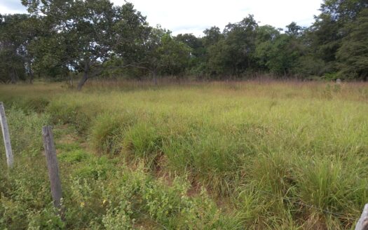 FAZENDA DE PECUÁRIA EM SÃO FRANCISCO – NORTE DE MG – 713 HA