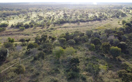 FAZENDA DE PECUÁRIA EM SÃO FRANCISCO – NORTE DE MG – 713 HA