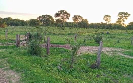 FAZENDAS DE PECUÁRIA EM COCALINHO MT –  VALE DO ARAGUAIA – 38.679 HA – R$ 8.500,00/HA
