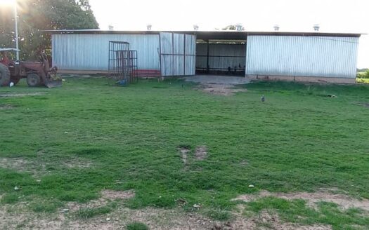 FAZENDAS DE PECUÁRIA EM COCALINHO MT –  VALE DO ARAGUAIA – 38.679 HA – R$ 8.500,00/HA