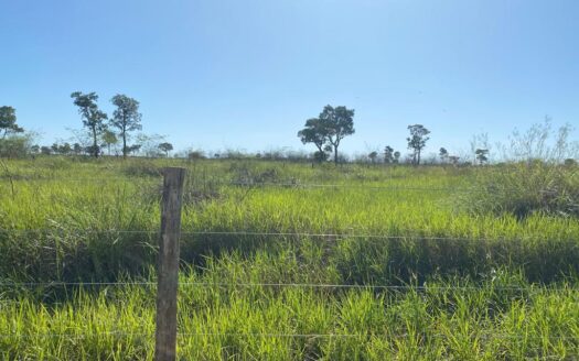 FAZENDA DE PECUÁRIA EM CORUMBÁ MS – 4.011 HA