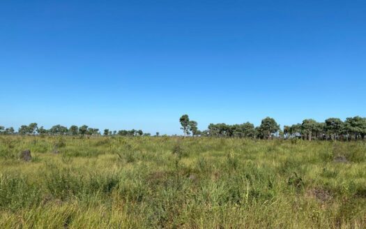 FAZENDA DE PECUÁRIA EM CORUMBÁ MS – 4.011 HA