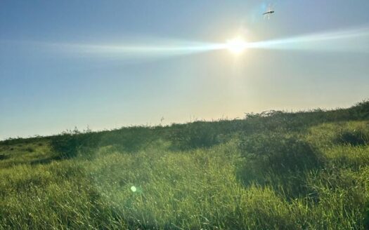 FAZENDA DE PECUÁRIA EM CORUMBÁ MS – 4.011 HA