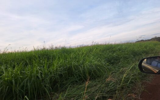 FAZENDA DE PECUÁRIA COM APTIDÃO AGRÍCOLA EM SÃO GABRIEL DO OESTE MS – 1.247 HA